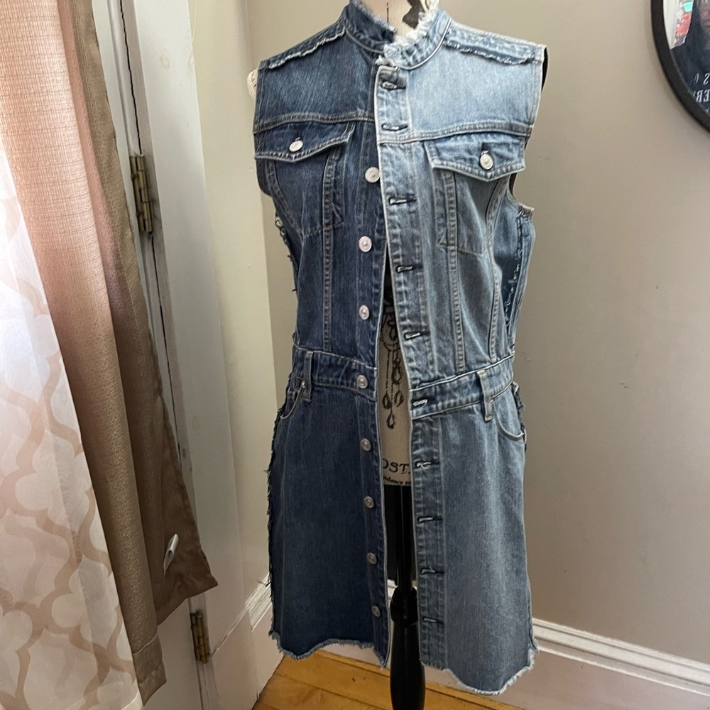 Hudson denim dress